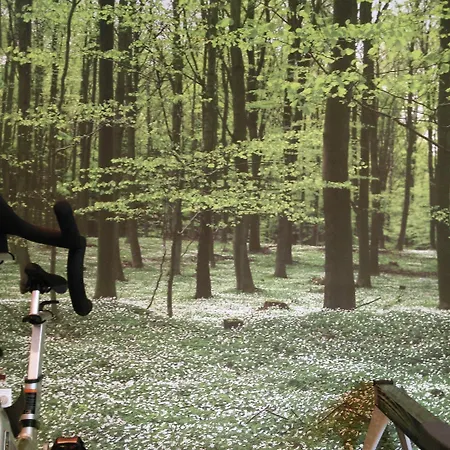 酒店 艾德贝斯特韦斯特优质酒店 4*